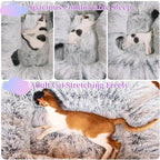 XxingSheep 4 Cave Shuttled XL Cat Tunnel Bed - Image 5