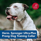 Herm SPRENGER Ultra-Plus Prong Dog Training Collar, 4 mm x 21" Neck Size - Image 2