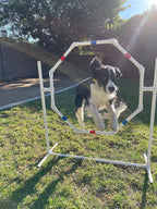The Dog Agility Shop Dog Jump - Image 2